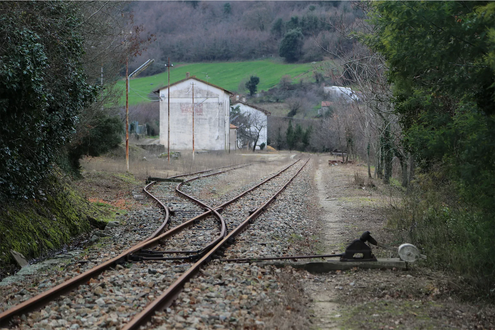 le vicinanze di una stazione della linea ferroviaria tra Palau e Tempio Pausania, con scambi di binari tra la vegetazione