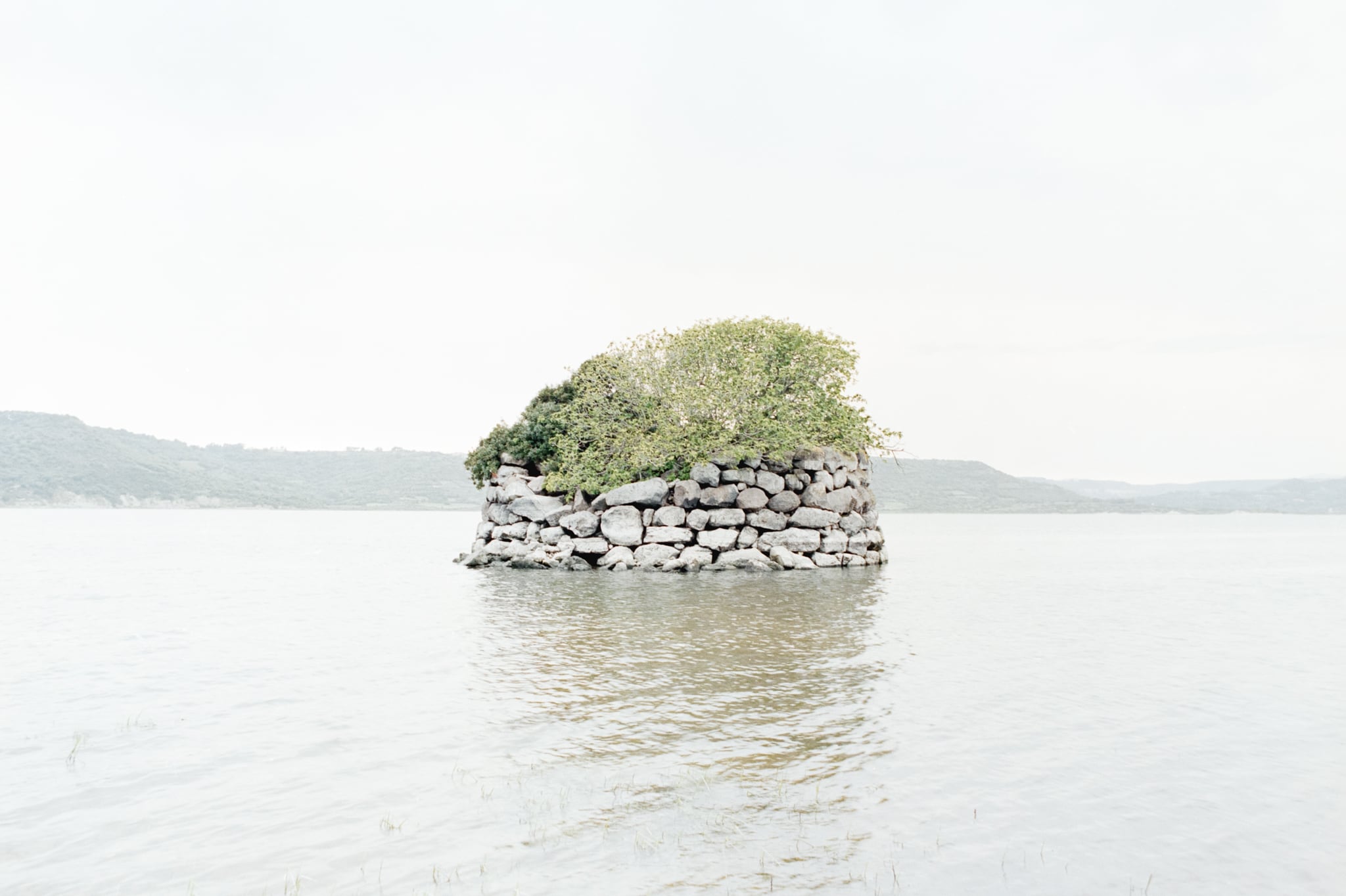 un nuraghe con un albero al suo interno spunta dall'acqua di un lago, in una foto di Cedric Dasesson